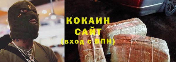 индика Абаза
