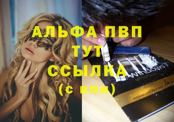 индика Абаза