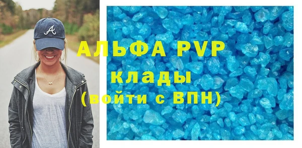 индика Абаза