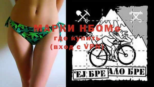 индика Абаза