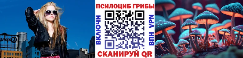 что такое   Далматово  МЕГА ссылки  даркнет какой сайт  Псилоцибиновые грибы Cubensis 
